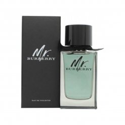 Mr. Burberry For Men