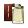 Salvatore Ferragamo Pour Homme For Men